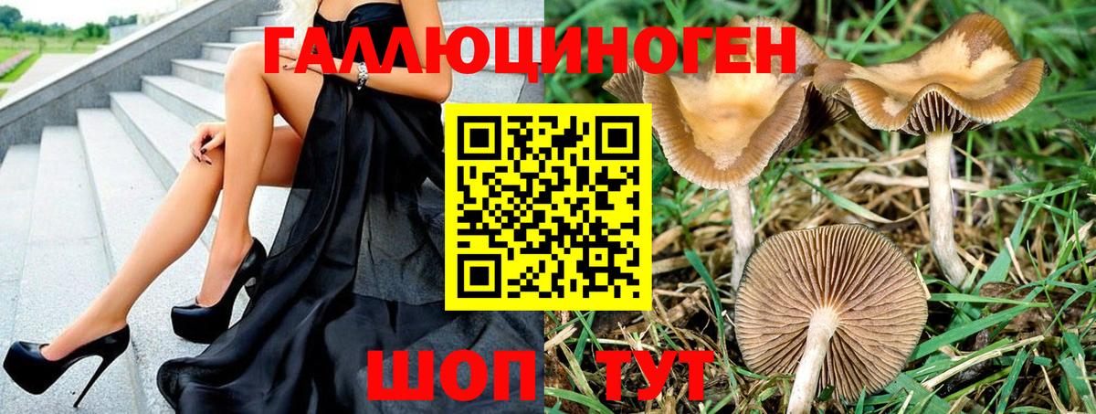 Псилоцибиновые грибы мухоморы Архангельск