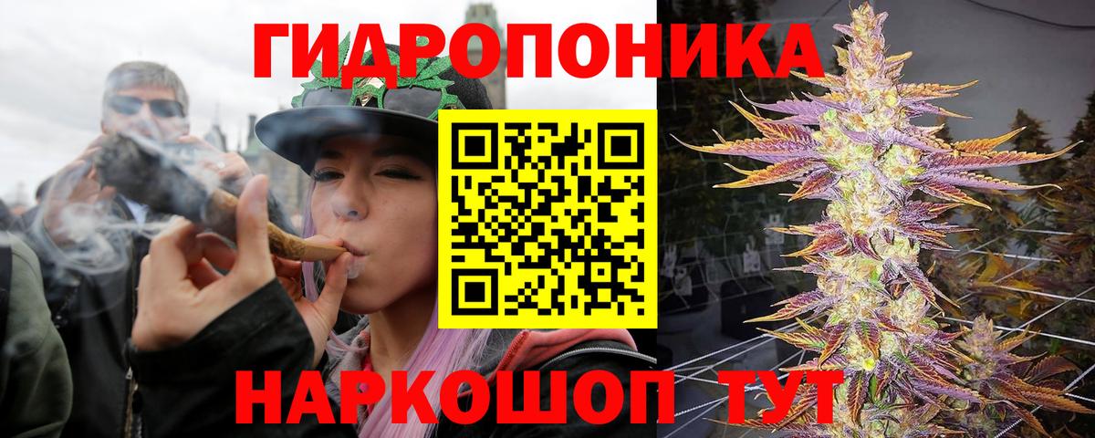 Бошки Шишки марихуана Архангельск